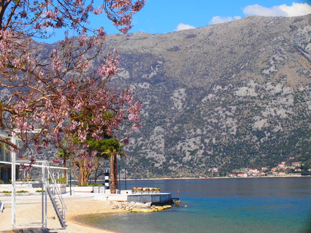 Holiday House In The Kotor Bay エクステリア 写真