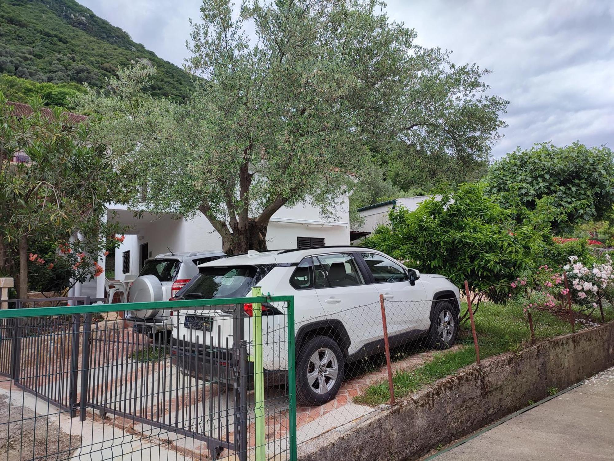 Holiday House In The Kotor Bay エクステリア 写真